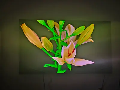 SAMSUNG OLED 55' TV FOR SALE!