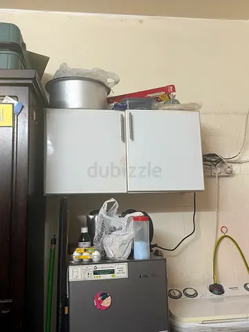 2-Door White Wall-Mounted Kitchen Storage Cabinet