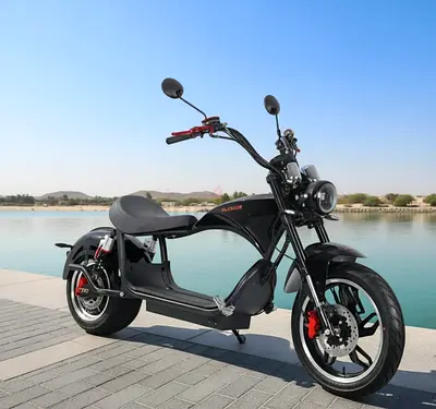 Kugoo M1 Electric Scooter