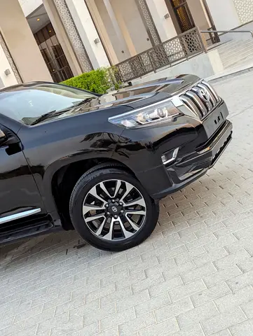 2020 Toyota PRADO — фото 10