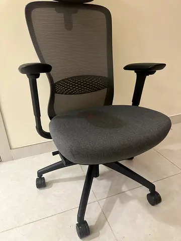 Workspace - 2× VX1 Performance Ergonomic Chairs (Gray)