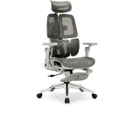 Divona Atlas Ergonomic Office Chair