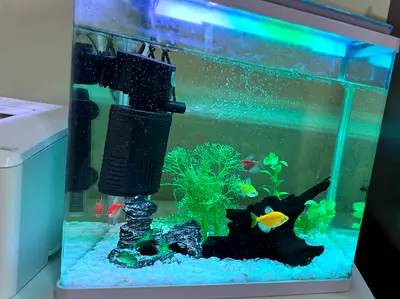 Small aquarium with filter, LED light and decorations