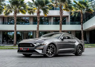 2,233 P.M |  Mustang Ecoboost | 0% Downpayment | EXTENDED WARRANTY