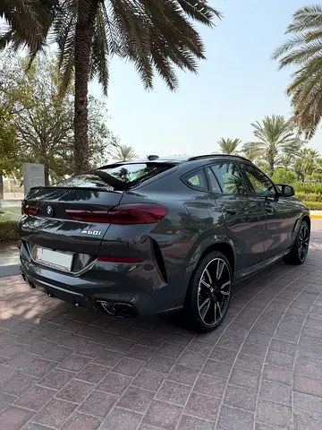 صورة مصغرة 6 لـ 2026 BMW X6