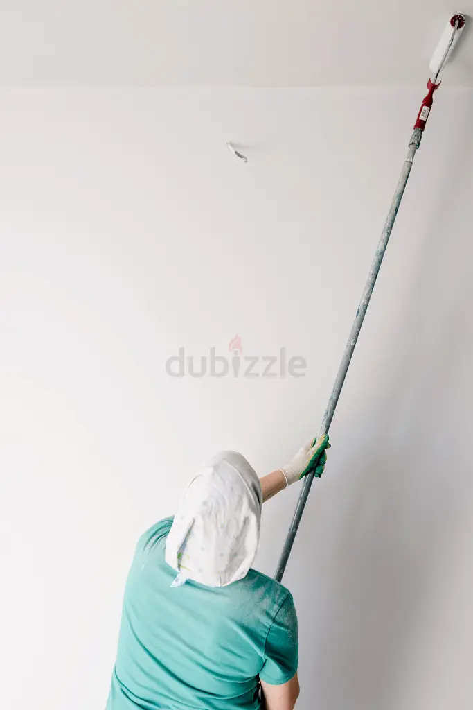 DPV_View_Image_0