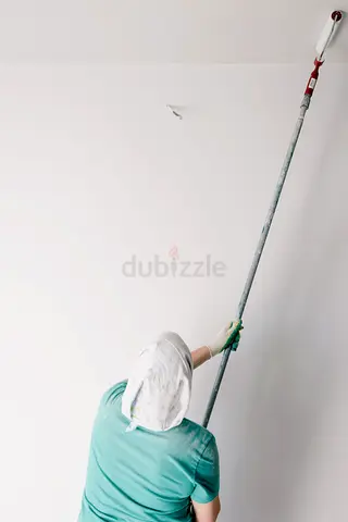 Professional painting services