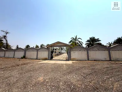 FARM FOR LEASE IN DHAID – 5-YEAR LEASE