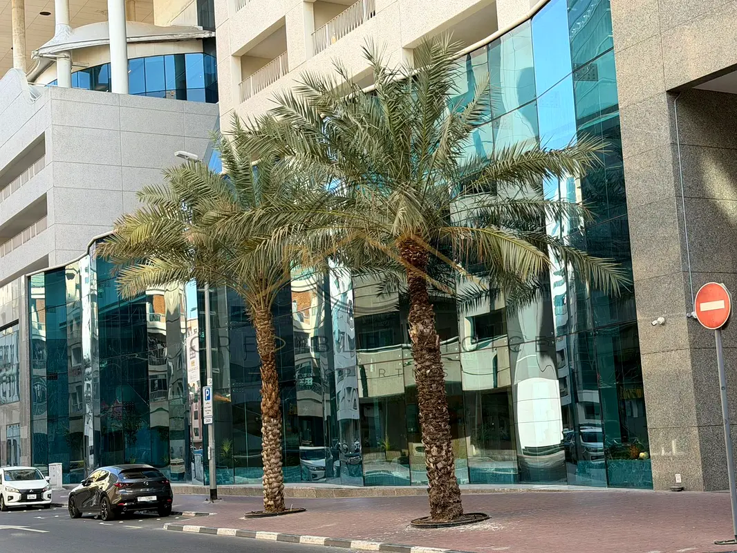 gallery-image