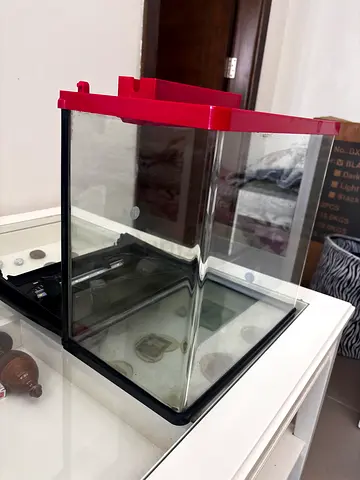 Small Glass Aquarium with Red Lid