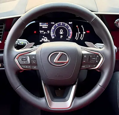 Lexus NX 250 Premium, миниатюра 8