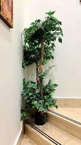 Artificial Potted Ficus Tree - Tall Decorative Indoor Plant