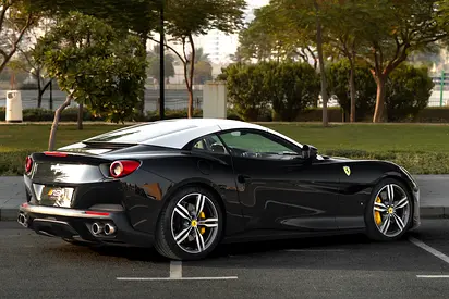 2019 Ferrari PORTOFINO 缩略图 18