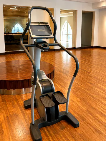 Technogym stepper
