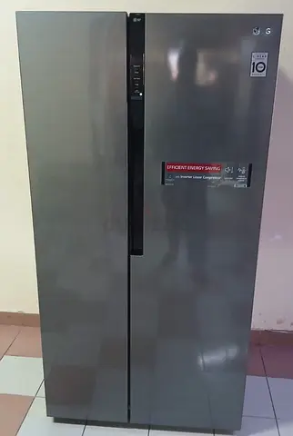 LG side by side refrigerator freestanding