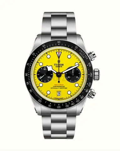 Tudor Black Bay Bumblebee