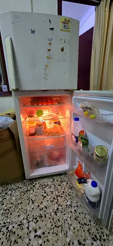 LG Double Door Fridge
