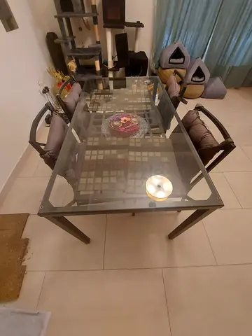 Modern Glass & Metal Dining Table (Mint Condition)