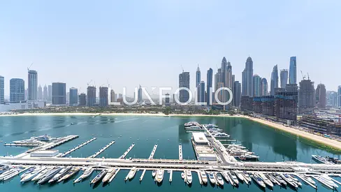 Corner Unit | High Floor | Full Marina View