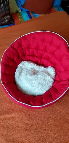 Cat Bed