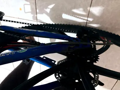 Biycle