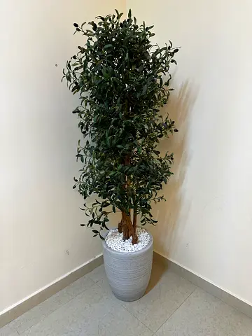 Olive tree decor - شجرة زيتون صناعية كبيرة