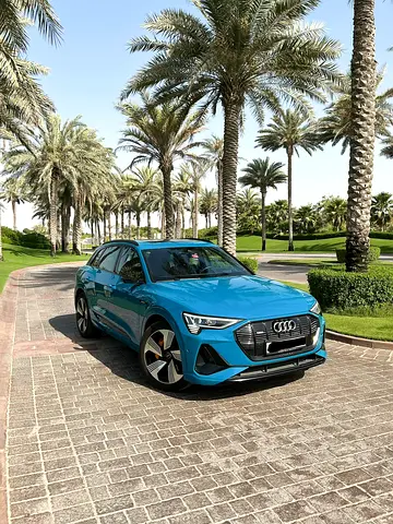 صورة مصغرة 13 لـ 2020 AUDI E-TRON