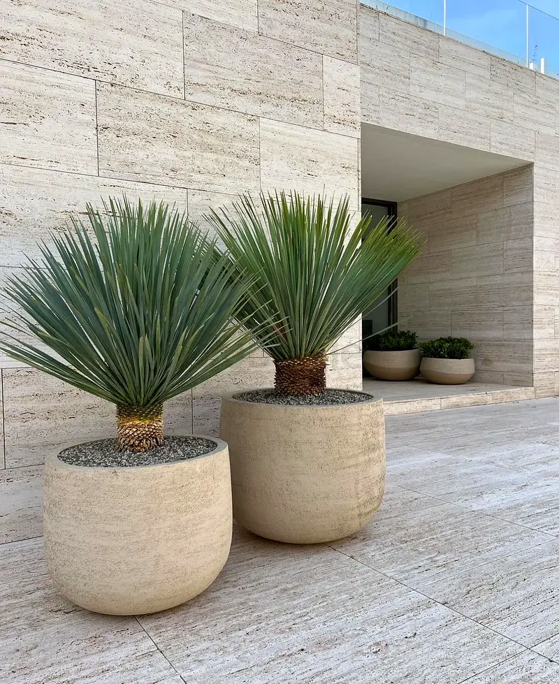 DPV_View_Image_0