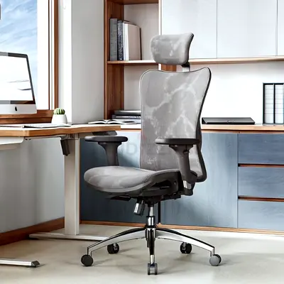 Affordable Sihoo M57 Ergonomic Office Chair