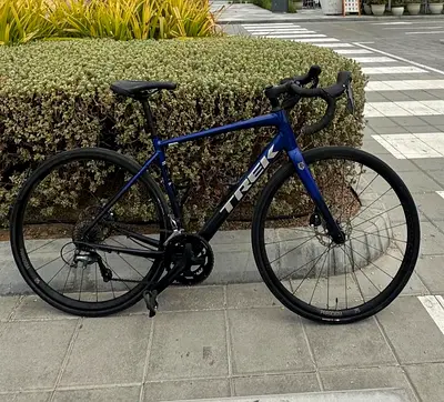 Trek Road Bike