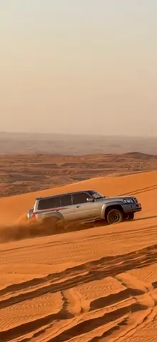 2017 Nissan PATROL SAFARI 缩略图 5
