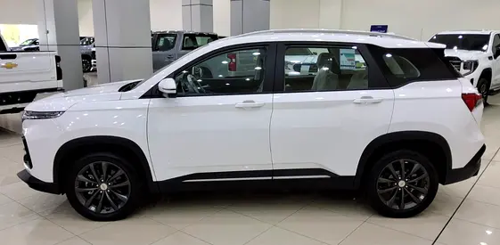 2026 Chevrolet CAPTIVA 照片 5