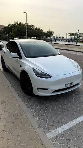 2024 Tesla MODEL Y — фото 2