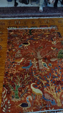 Large Traditional Middle Eastern/Indian Rug - Good Condition