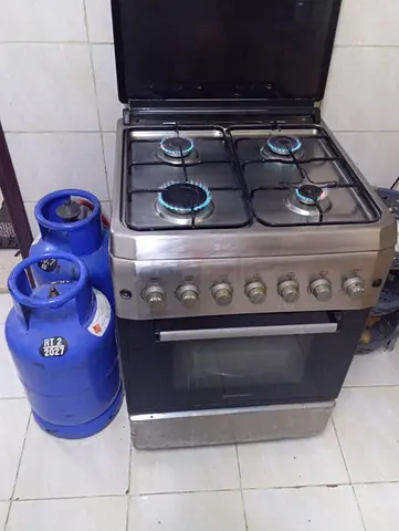 مدينة العين