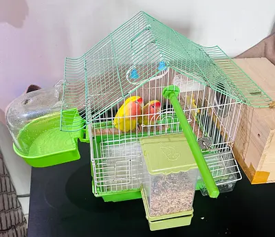 Small Love Birds Cage & Accessories -Free Birds Included