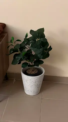 Artificial faux eucalyptus plant in white marble-effect pot — ready to place
