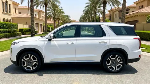2025 Hyundai PALISADE 照片 3