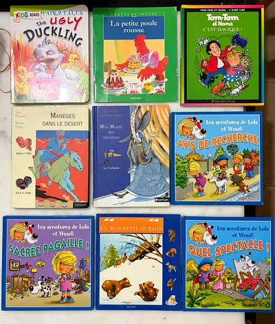 A Selection of Engaging French Literature