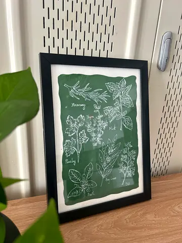 Herb Painting in Gouache