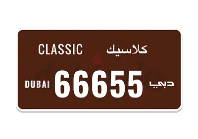 66655