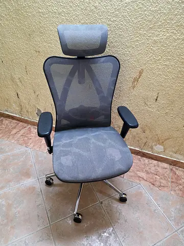 Sihoo M57 Ergonomic Adjustable Office Chair With 3D Arm Rests And Lumbar Support - High Back With Br