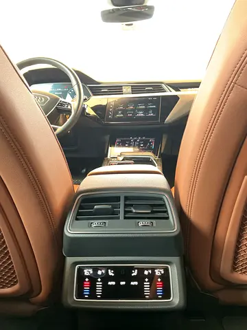 صورة مصغرة 16 لـ 2020 AUDI E-TRON