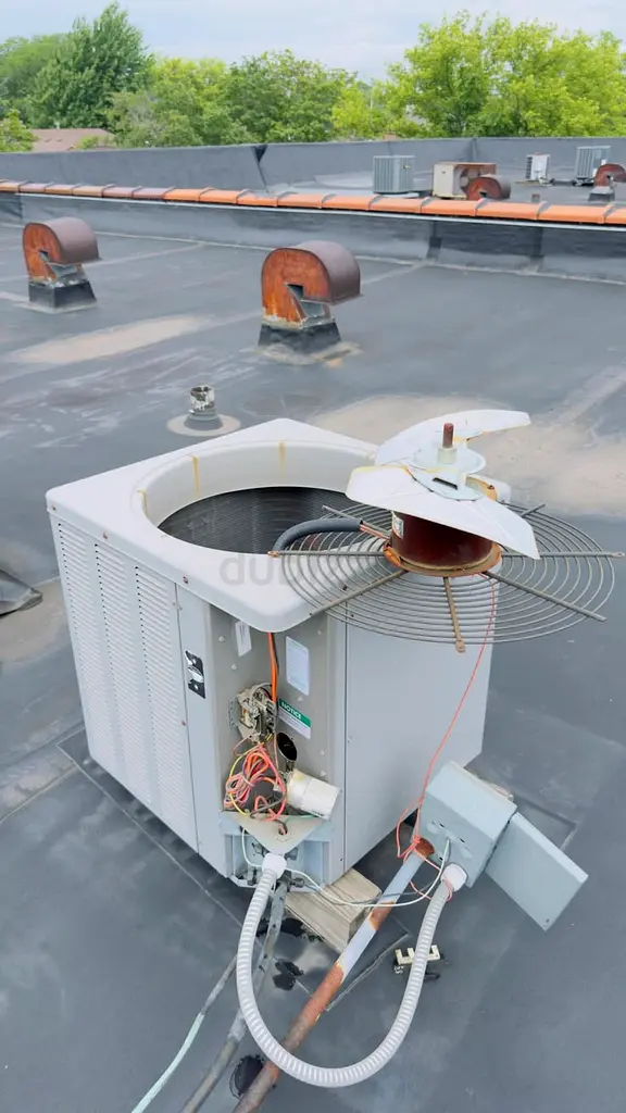 DPV_View_Image_0