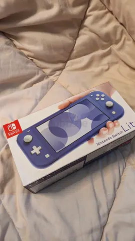 Nintendo Lite