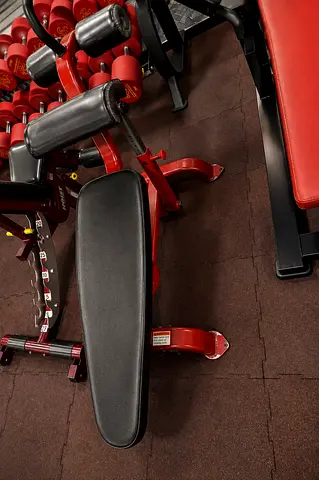 Body master Adjustable Ab Bench