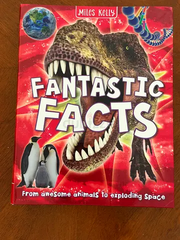 Children’s Story books