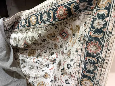 Light-colored Persian-style area rug - good used condition