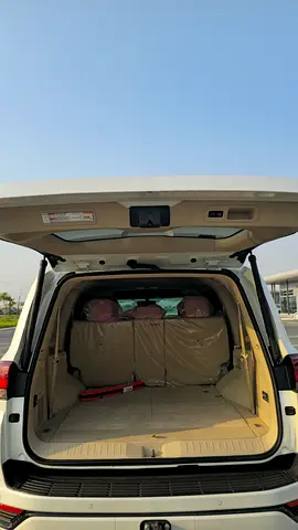 2025 Toyota LAND CRUISER 照片 10