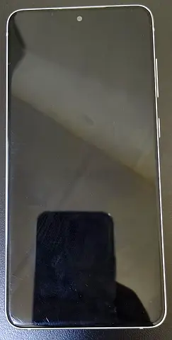 Samsung S21 FE, 8GB and 256GB